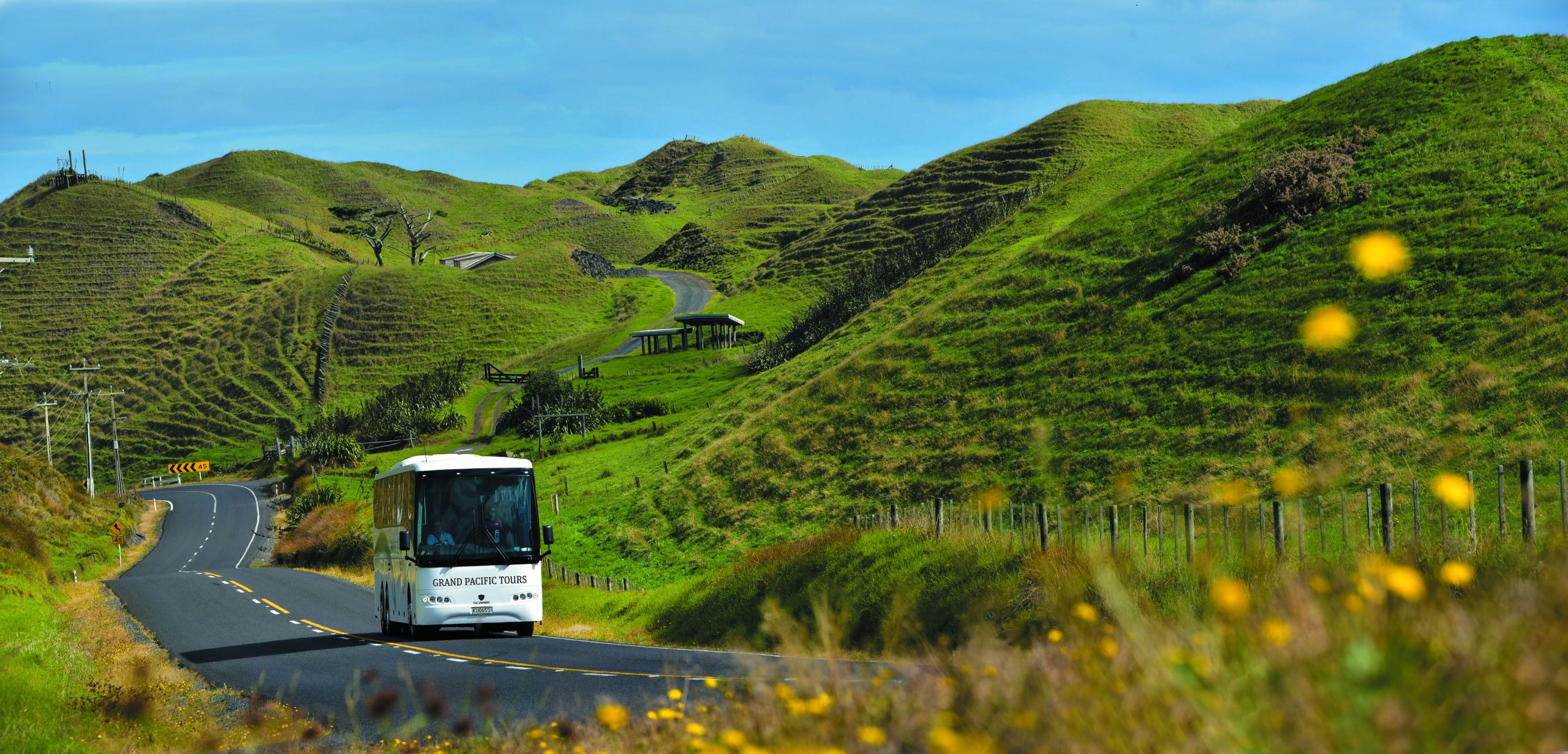 grand pacific tours nz